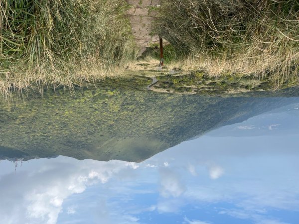 20240314_大屯山+紫明溪步道2855569
