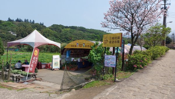 大坑溪三生步道    金山獅頭山步道2081094