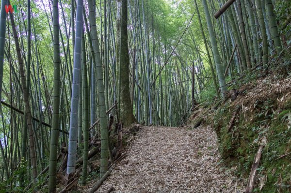 WL 愛旅行【石壁山】499647