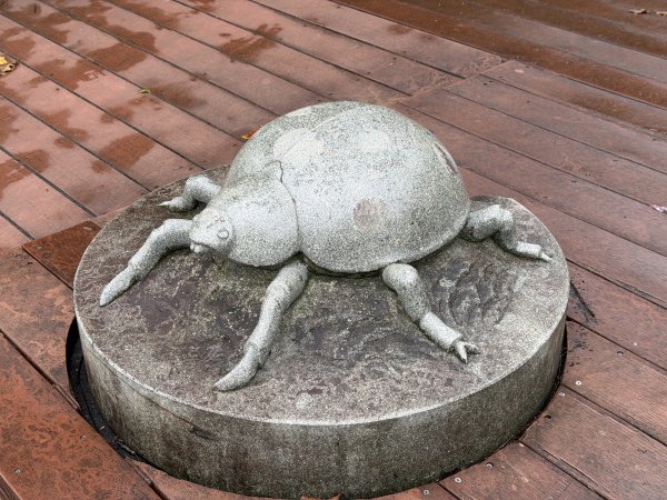 [樟之細路_第一大段RSA01] 2026_0329 大平紅橋3026649