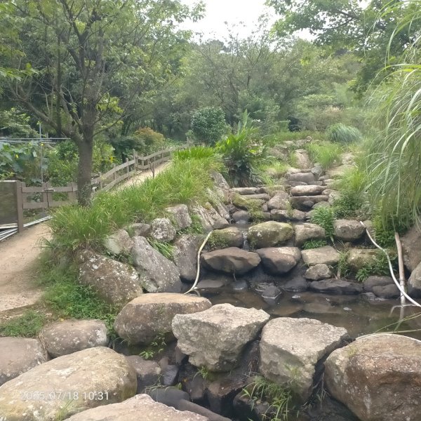 臺北大縱走第二段：二子坪至小油坑2840536