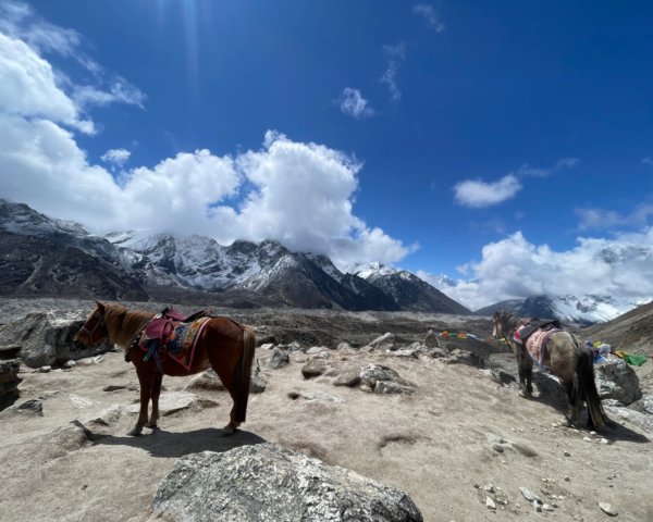 尼泊爾聖母峰EBC基地營❤️風景篇2791064