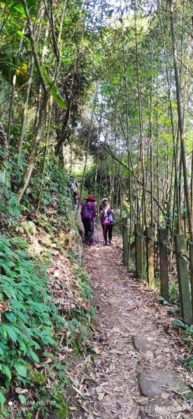 馬那邦山登山步道、雪霸國家公園1332520