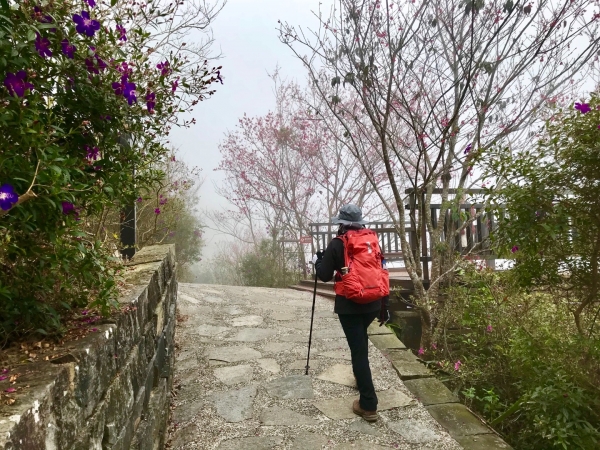 梅峰古道上竹子尖山264331