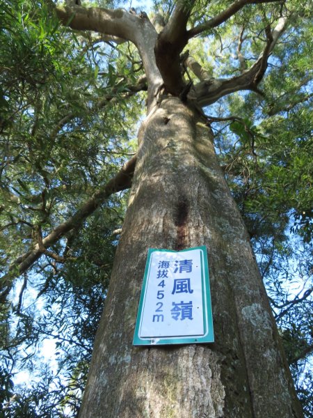 豐原三崁頂健康步道3上2下O形2696149