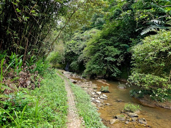 四寮溪生態步道-2025森遊竹縣皮皮獅探險隊2889108