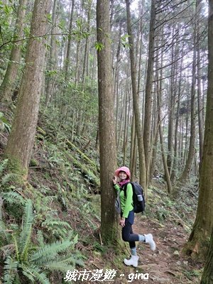 【台中和平】橫嶺山自然步道_木馬古道3095028