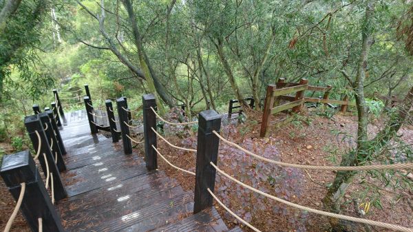 大肚環保公園登山步道353150