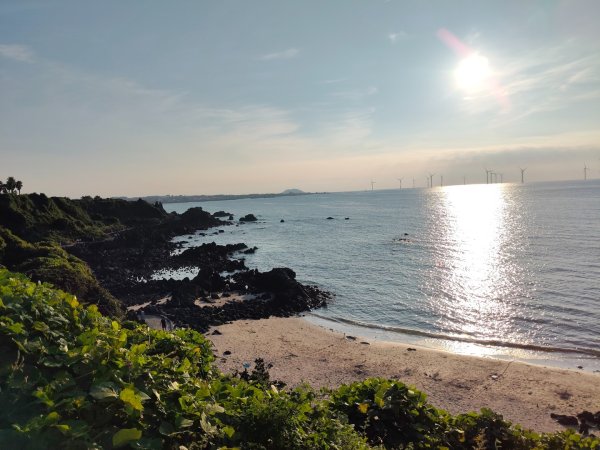 韓國濟州島：桂月邑2912268