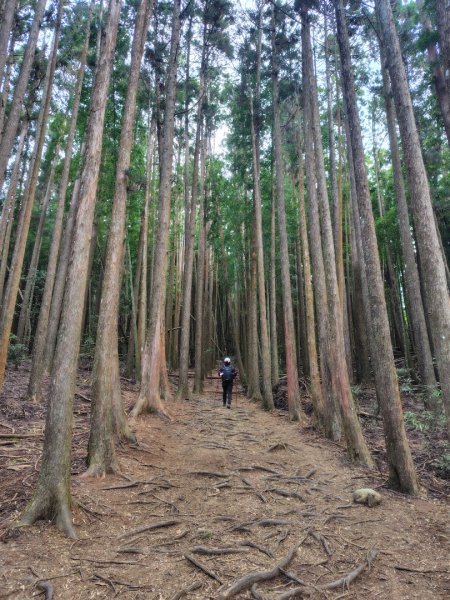 長壽山、肥崠山、醜崠山、大崠山、大崠山經建版2931534