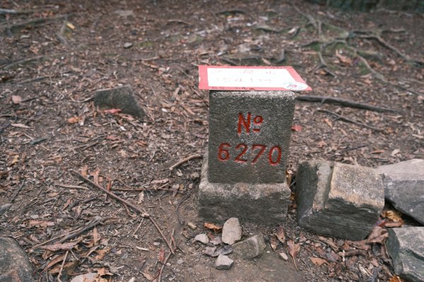 【年輕人爬山趣】大混山縱走李崠山2750852