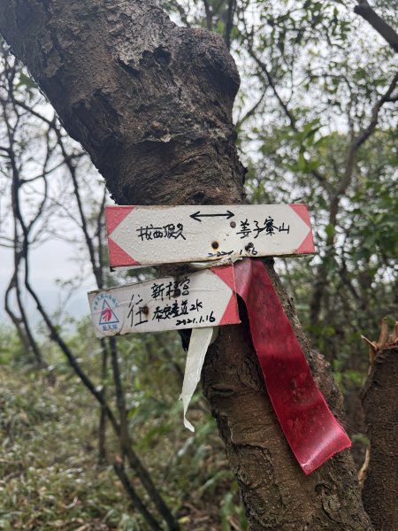 七上八下2713419