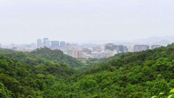 白雲派出所。蒙格不驚2759914