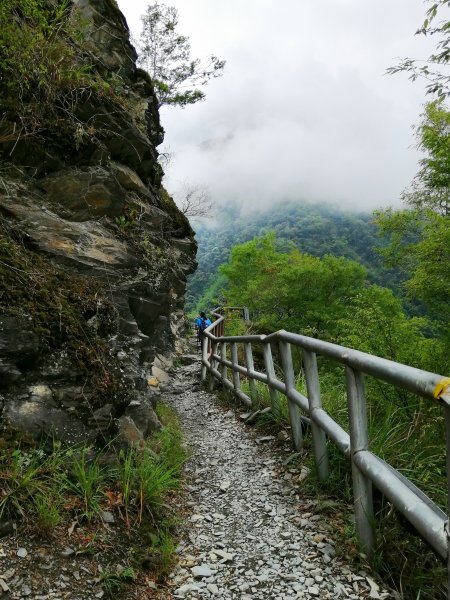 信義~悠然古道處處迷人八通關雲龍瀑布步道972849