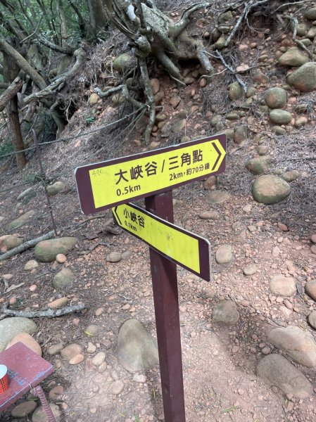 火炎山自然保謢區2769354