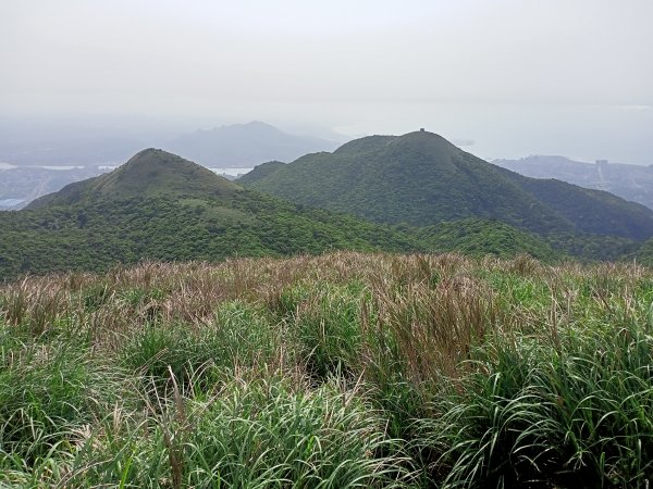 【臺北大縱走 2】【台北-臺灣百大必訪步道】視野遼闊的大屯山主峰，風景秀麗的頂湖海芋步道、水車寮步道1340303