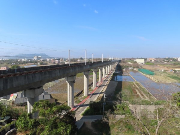 水流東桐花步道1900238