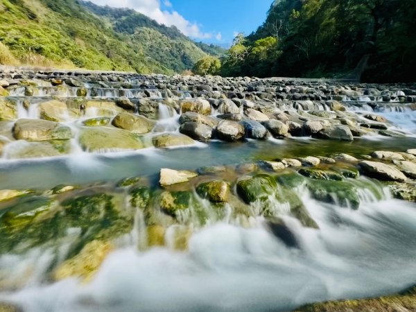 雪山坑登山步道尋巨人2978273