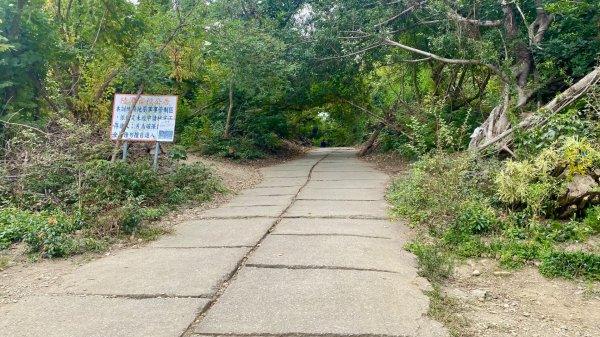 尚書林山步道(鳳凰山)2730911