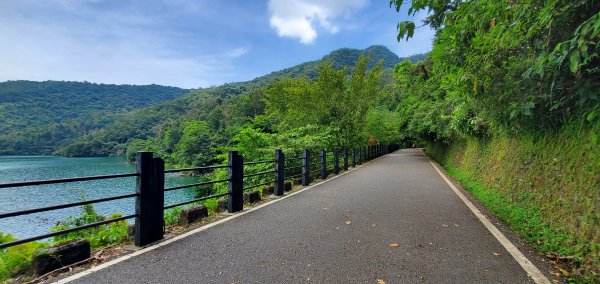 2023-06-22花蓮鯉魚山步道群2193540