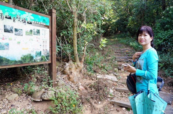 苗栗三義三角山596988