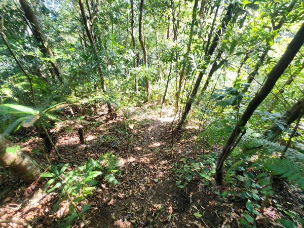 20251214石牛山柑坪山新柑坪山牛背岩2972734