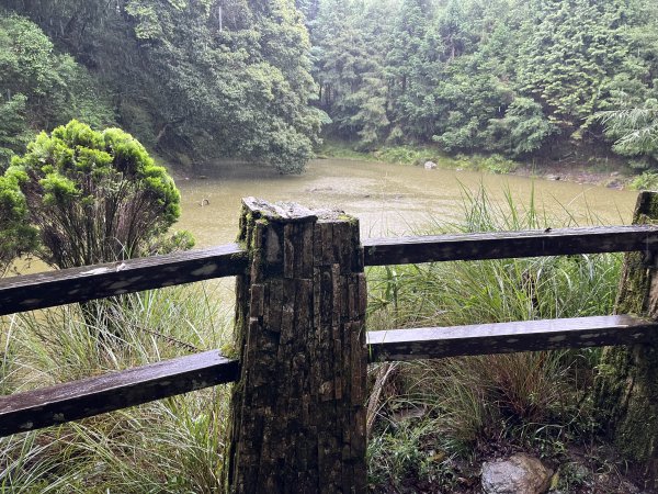 [玉山尋寶任務-02/12] 2025_0727 中之關、天池步道/南橫公路2847620