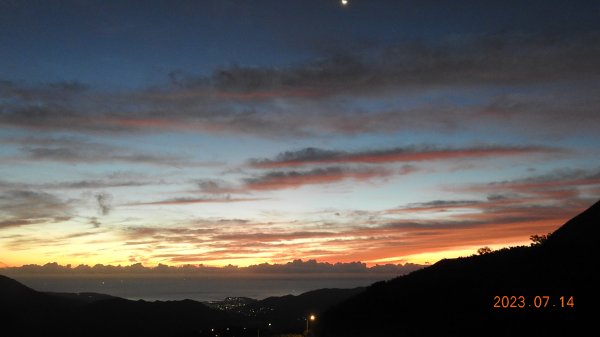 雲山水花鳥蝶 - 天龍國阿伯的日常，沒鳥也沒蝶槓龜 7/14&172217412