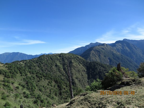 鹿林山及麟趾山449517