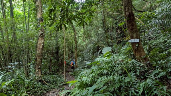 114.06.14雙石縱走&石門水庫-石牛山之旅2812248
