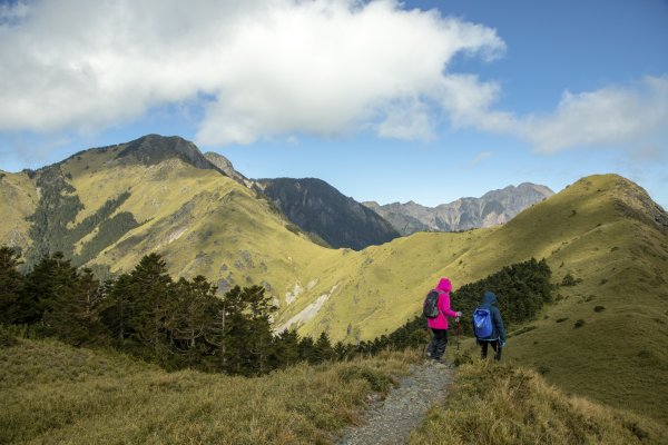 大小劍-油婆蘭全紀錄2674233