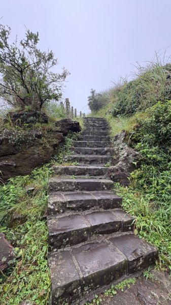 夢幻七星3074402