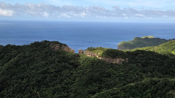 夏季的黃金十稜接九稜下門牙稜C型(草長路荒慎行)2880691