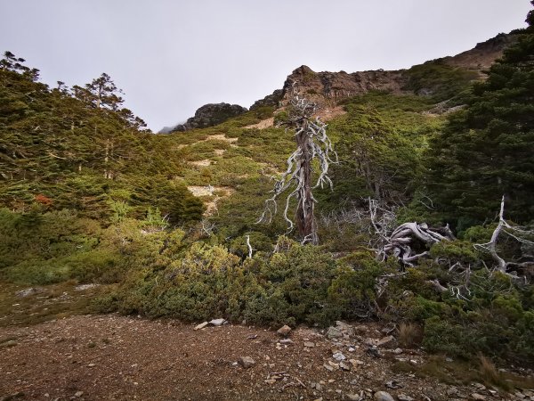 圓峰=>鹿山1091347