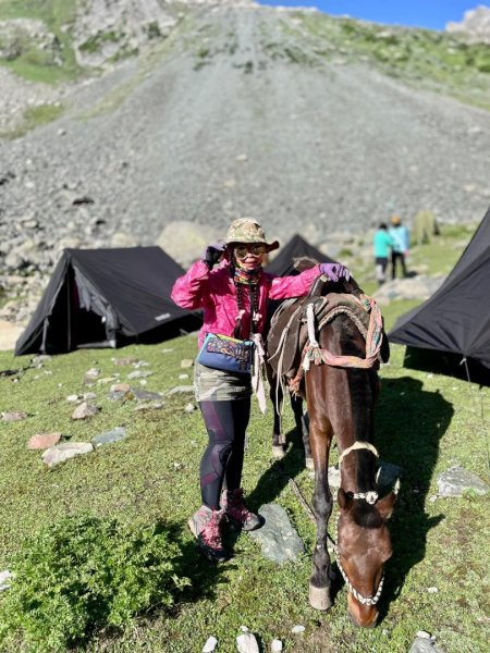 喀什米爾/馬牛羊駱駝動物寫真2565796