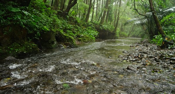 20201117坪溪古道1495994