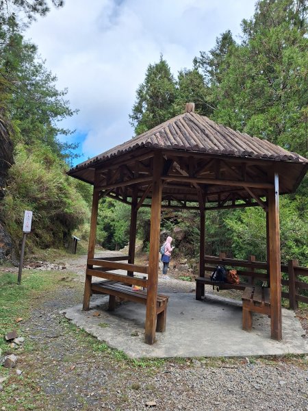 觀霧之榛山O型202411232653963