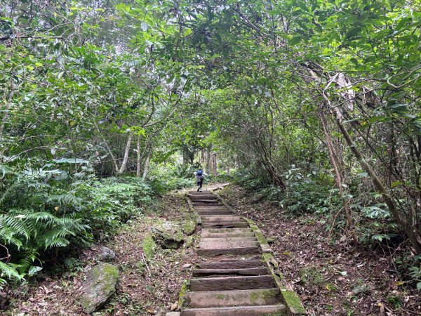鯉魚山步道群2728315