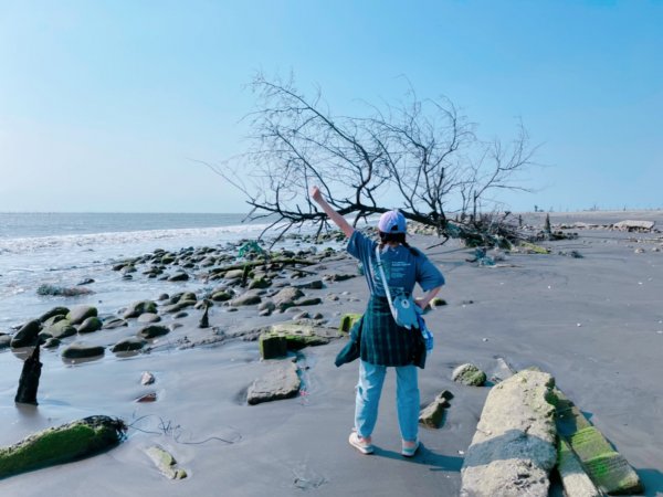 【嘉義】白水湖壽島1689749