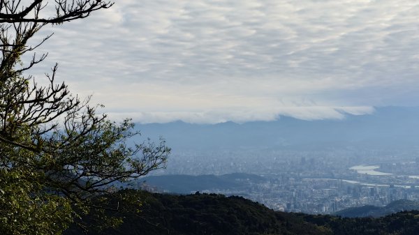 20260125 陽明山前後山健行(無極天元宮~山仔頂步道.向天池.向天山.面天山.二子坪)2998072