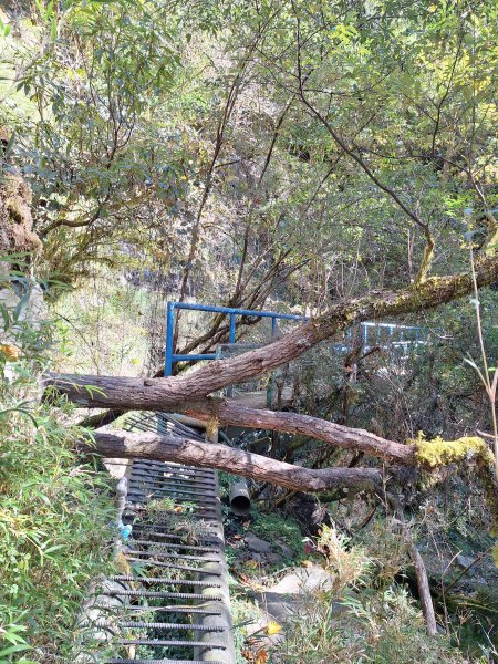 石山引水道202512112959571