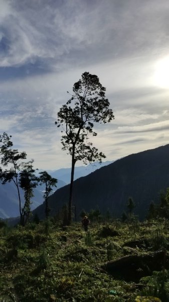 2025/7/12、7/13 西巒大山2839173