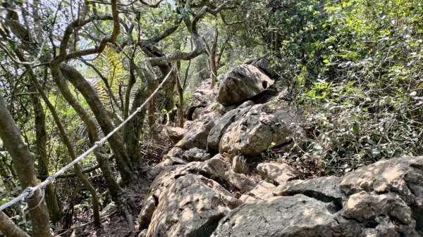 大棟山 關子嶺，  曲積山 那瑪夏 ，王爺崙 南化1940300