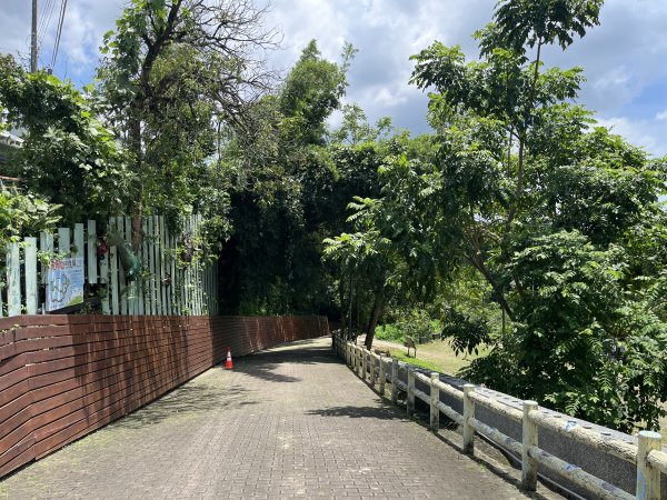 [百山百鳥尋旅-03/15] 2025_0817 虎形山公園步道2863106