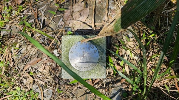 20250322遠望坑古道-龜媽坑古道中線-虎子山古道2743265