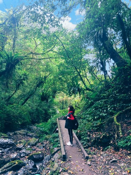 療癒系抹茶山，小百岳三角崙山，五峰旗瀑布1029840