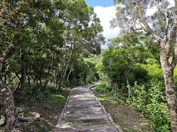 [百山百鳥尋旅-02/15] 2025_0809 社頂自然公園步道2857096