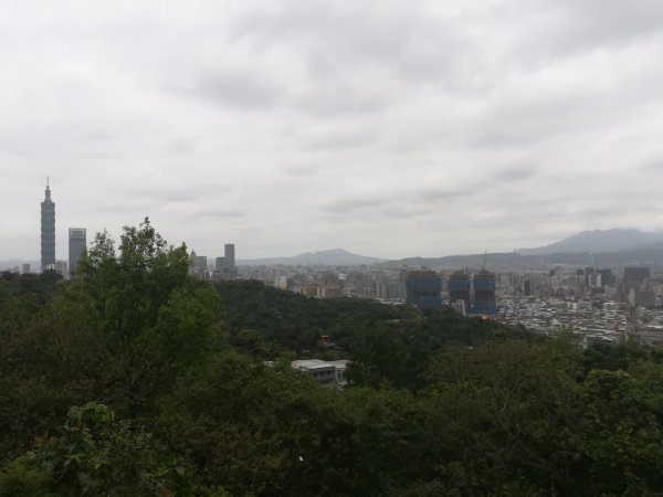 與母親爬山—虎山步道群/探訪秘境黃蟬園895179