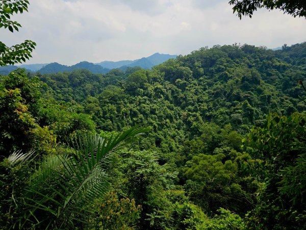 六寮古道-2025森遊竹縣皮皮獅探險隊2889094