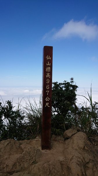 仙山登山步道503215